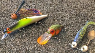 Best Lures for GIANT Winter Bass