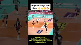 Like subscribe share #mega #volleyball #redsparks #megatron #volley #megawatihangestri #proliga