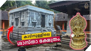 അധികം ആരും കാണാത്ത വന ശാസ്താവ് !Kaana Sastha Temple| Edneer Mutt| Kassargod | Oru Nagarathinte Kadha