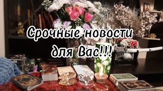 Срочные новости для Вас ‼️💫💯🔥🔥🔥