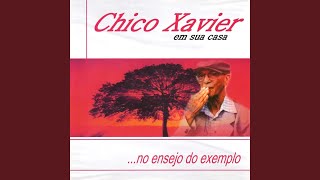 Cultivando Paciência / Albino Teixeira