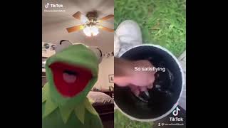 Try not to laugh watching funniest Kermitontiktok 2021 TikToks #Shorts #TikTokTrends