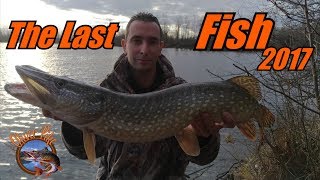 The Last Fish 2017!