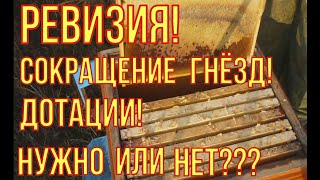 Беглый осмотр. Сокращение гнёзд. Дотации перед зимовкой.