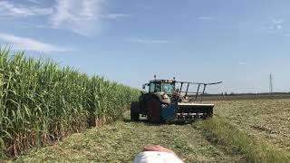 Visite d’un chantier de broyage de sorgho biomasse en Italie.