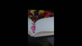 soothing and relaxing quran