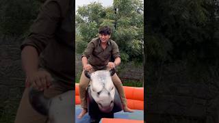 Ji ha yehi mera passion hai #bullriding #adventuresport #viralshort #ytshortsindia #viralytshorts