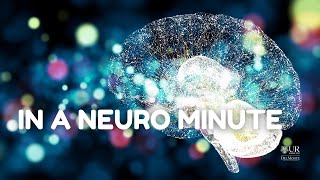 S5 E1: How do microglia (the brain's immune cells) support learning & memory?