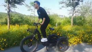 Top 3 Best Electric Tricycle 2024 | 3 Wheel E-Bike Trike Cargo A Brief Introducing