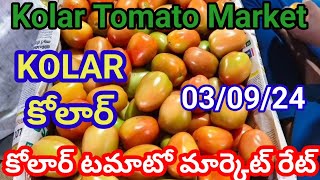 3 September 2024|| today Tomato price in Kolar market || Karnataka market tamatar rate|| today top 🍅