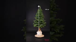 Skandynavia na pniu 1,9m PE+PVC #christmastree