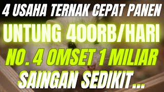 4 USAHA TERNAK YANG CEPAT PANEN UNTUNG 400 RIBU SEHARI YANG MENJANJIKAN! Peluang Usaha Peternakan