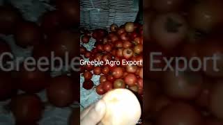 Export Quality Pomegranate Anar Packing Supply and Exporter Greeble Agro Export