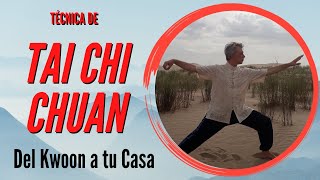 Tecnica de Tai Chi Chuan: "dan bien, el Látigo simple"