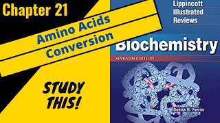 Lippincotts Biochemistry (Chapter 21) Amino Acids: Conversion to specialized products || Study This!