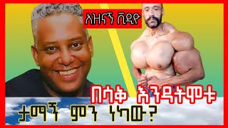 ታማኝ ቀወጠው || በሳቅ ልብ የሚያፈርሱ ቪዲዮዎች ስብስብ || babi || bereket || dallol entertainment || #seifuonebs