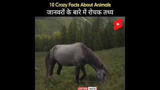 Breathtaking Facts About Animals 🪳| Amazing Facts | Top Facts | Random Facts | #shorts #justujufacts