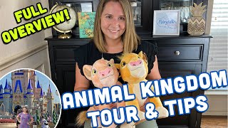 Animal Kingdom Tour and Tips - Plans, Rides, Food, and More - Walt Disney World