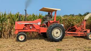 Allis-Chalmers 190XT with 780 Corn Chopper