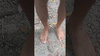 walking barefoot 24 7 advantages free tour feet