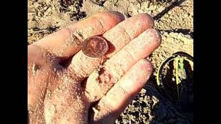 Metal detecting on the beach 8/10/15