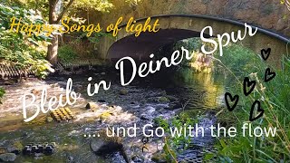 Happy Songs Of Light - Musik zum Entspannen und Auftanken - Ich bleibe in meiner Spur- W. Blaesing