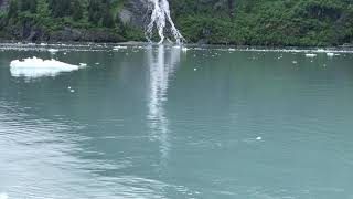 (June 2018) Sea otters in Prince William Sound, Alaska [4K60]