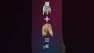 Wolf + Puma = Combined Sound