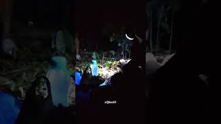 Makan Malam di Tengah Hutan dengan Pemanjat/Pemburu Madu Lebah Liar Apis Dorsata Sumsel