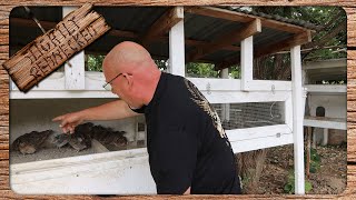 Best Quail For Meat And Eggs