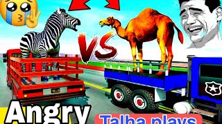 Choose the Right Mystery Camel and Zarafa - Tiger Sheep Chimpanzee Max Level talha plays!