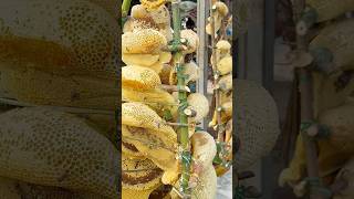 Fresh honey bee condo from forest - #thailandstreetfood #streetfood