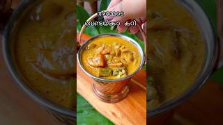 അമ്മേടെ വെണ്ടയ്ക്കാ കറി 🍃 Ladies finger / Bindi curry with coconut milk #shorts #recipes #kerala