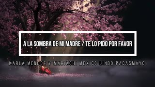 💞 A  la sombra de mi madre / Te lo pido por favor 💞 //  Letra / Karla Mendez feat. Mariachi Mexico