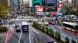 Shibuya crossing