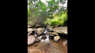 WATER SOUNDS 🥹🥹 #subscribe #travel #beach #event #water #waterfall #river #sound