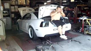 2003 Mustang Cobra dyno run making 766whp on pump gas! Mustang Magic..