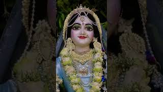 শুভ রাধাষ্টমী#reelviral#radhastami