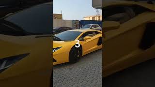 Many Lamborghini`s in Dubai~~