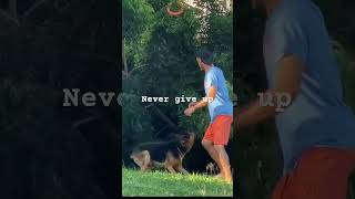 Life Lesson from German Shepherd #shorts #athleticism