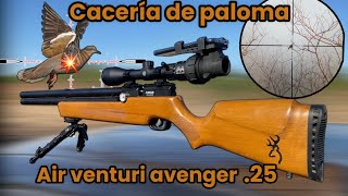 QUE BUENA CACERIA ME TOCO ‼️ Cacería de paloma con el air Venturi Avenger .25💥