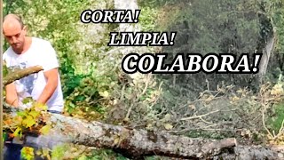 Limpieza del Camino: Seguridad, Responsabilidad y Colaboración en la Naturaleza