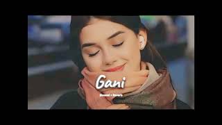 Gani (slowed + reverb)- Akhil | new Punjabi song 2024 |