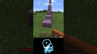 -6891 IQ vs 9642 IQ Minecraft World's Smallest Violin 😂| #shorts #minecraft