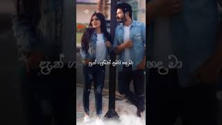 Lelena - Nilan Hettiarachchi song lyrics Video - D Music