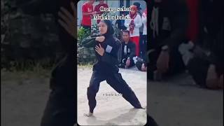 atraksi PSHT di kemerdekaan Indonesia .. NKRI