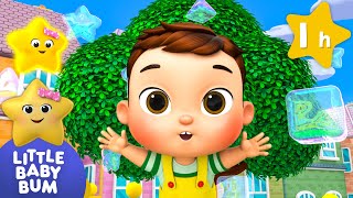 Baby Max Learns Bubbles and Shapes | Little Baby Bum | Dance Party Songs 2024 🎤 Dance Along 🎶