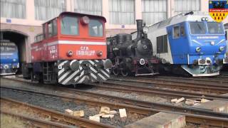 Activitate în depoul Sibiu/Shunting activity at Sibiu railway depot, Romania[Iulie/July 2016]