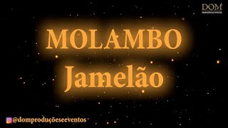 Samba-Okê - Jamelão - Molambo - Karaokê