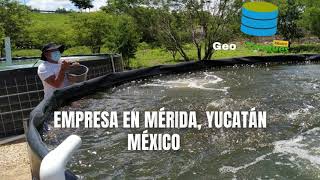 Inicia tu propio proyecto Acuícola Geotanques de México